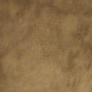 Meet your Posher, Dulce